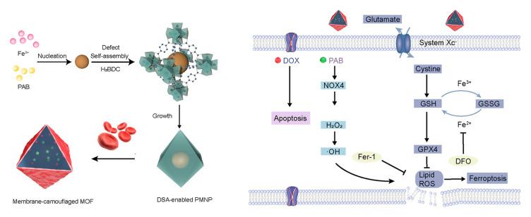 https://cdn.ncbi.nlm.nih.gov/pmc/blobs/6c7e/12379968/945ae824970e/IJN-20-10127-g0007.jpg