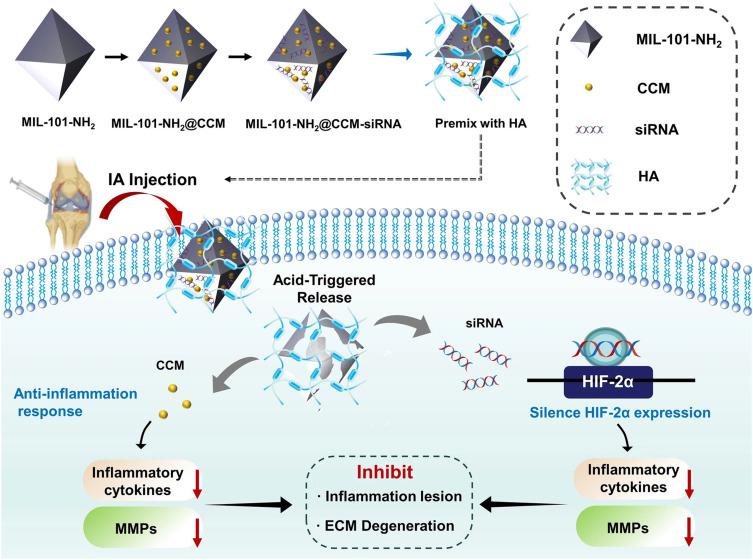 https://cdn.ncbi.nlm.nih.gov/pmc/blobs/6c7e/12379968/a959bb073e52/IJN-20-10127-g0005.jpg