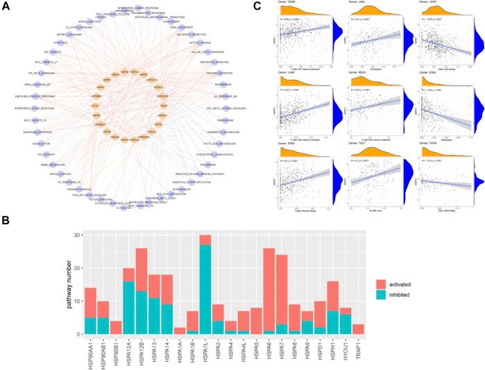 https://cdn.ncbi.nlm.nih.gov/pmc/blobs/6c7e/8546173/07c66954e4b6/fmolb-08-726244-g004.jpg