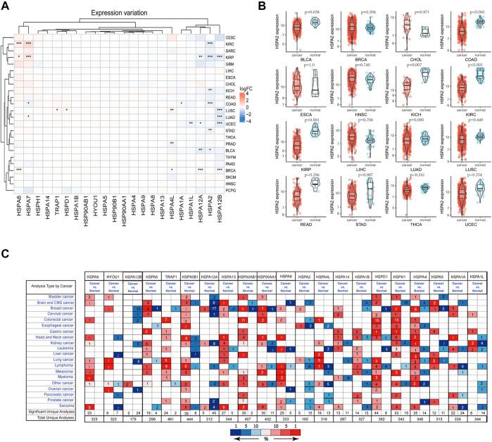 https://cdn.ncbi.nlm.nih.gov/pmc/blobs/6c7e/8546173/19a11ca6fc68/fmolb-08-726244-g001.jpg