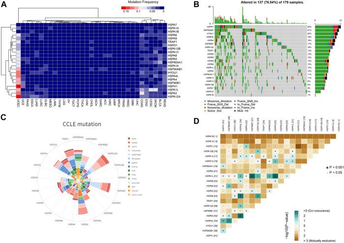 https://cdn.ncbi.nlm.nih.gov/pmc/blobs/6c7e/8546173/5aa11d173a5b/fmolb-08-726244-g006.jpg