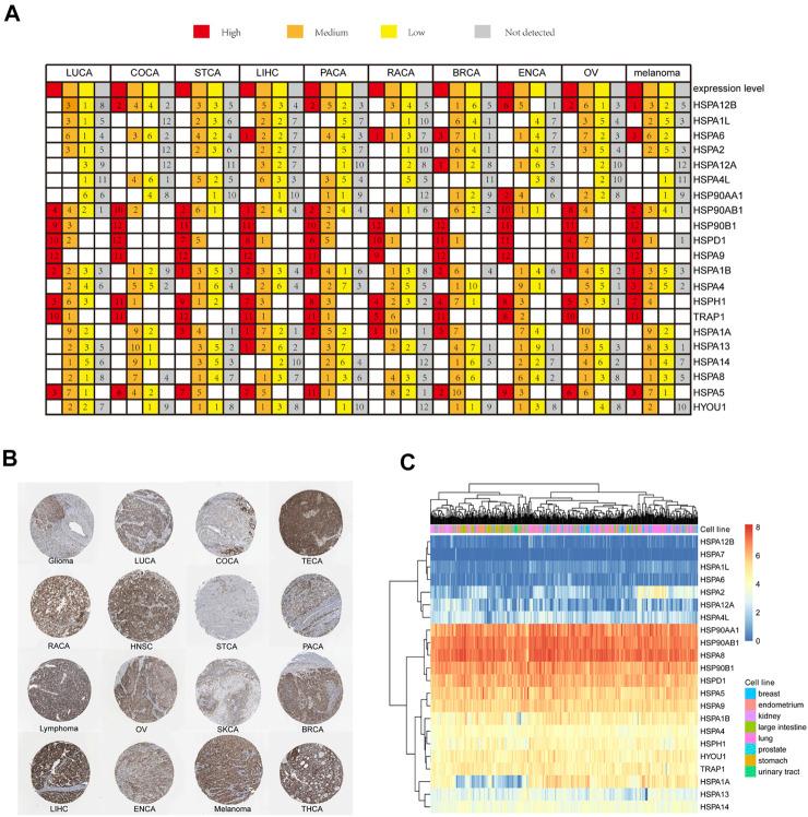 https://cdn.ncbi.nlm.nih.gov/pmc/blobs/6c7e/8546173/a51cab0adb98/fmolb-08-726244-g002.jpg