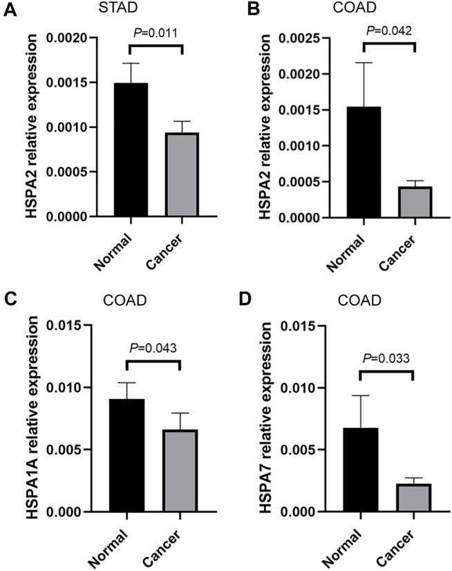 https://cdn.ncbi.nlm.nih.gov/pmc/blobs/6c7e/8546173/e516908abe1a/fmolb-08-726244-g008.jpg