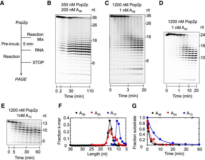 https://cdn.ncbi.nlm.nih.gov/pmc/blobs/6c80/7962489/37d3e7844f00/465f01.jpg