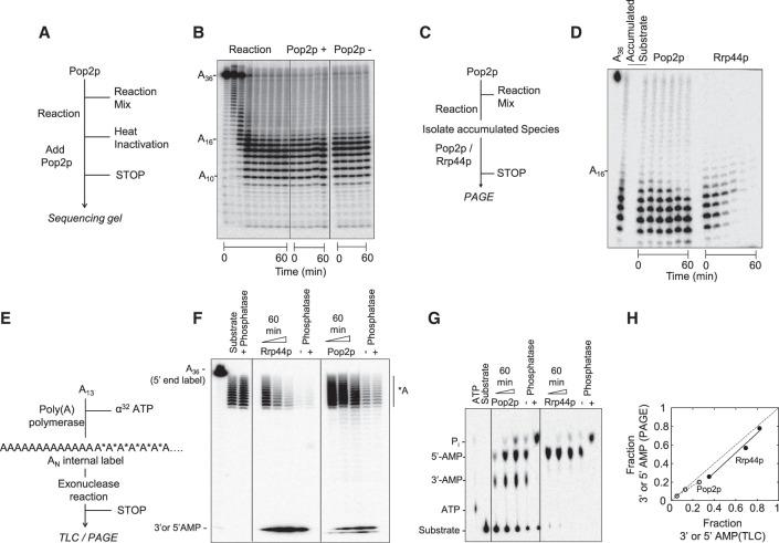 https://cdn.ncbi.nlm.nih.gov/pmc/blobs/6c80/7962489/d150fa63c738/465f02.jpg