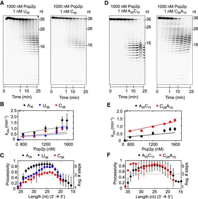 https://cdn.ncbi.nlm.nih.gov/pmc/blobs/6c80/7962489/ea986ebfbc41/465f06.jpg