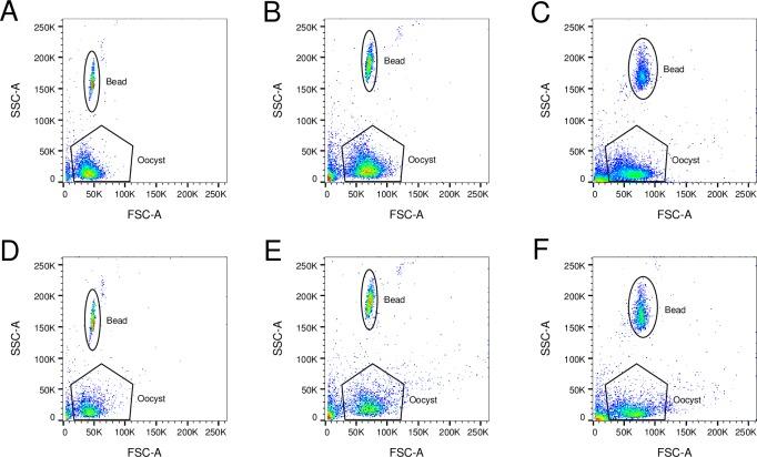 https://cdn.ncbi.nlm.nih.gov/pmc/blobs/6c84/6443187/ccfa0e171ea1/pntd.0007259.g004.jpg