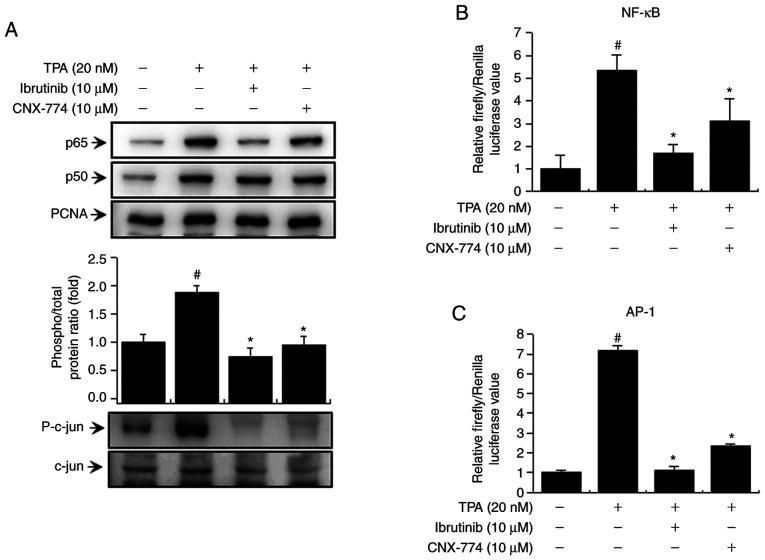 https://cdn.ncbi.nlm.nih.gov/pmc/blobs/6c84/7962096/ae003359c345/or-45-05-8007-g03.jpg