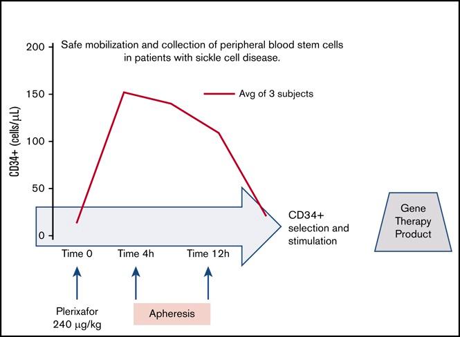https://cdn.ncbi.nlm.nih.gov/pmc/blobs/6c85/6177648/70b38847eef5/advances016725absf1.jpg