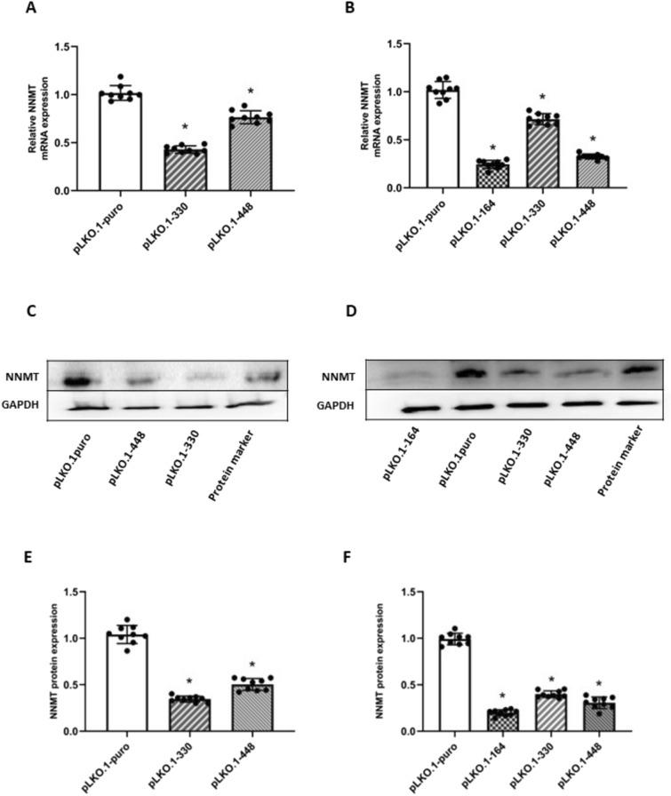 https://cdn.ncbi.nlm.nih.gov/pmc/blobs/6c86/11016511/dc5b7c8db3c7/13577_2024_1047_Fig2_HTML.jpg