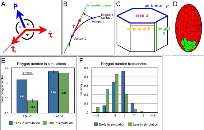 https://cdn.ncbi.nlm.nih.gov/pmc/blobs/6c87/3274502/834ca460f35a/pbio.1001256.g005.jpg