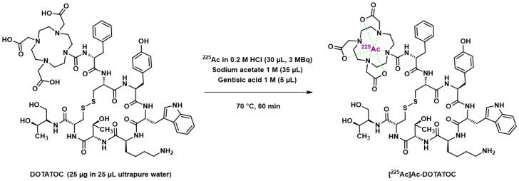 https://cdn.ncbi.nlm.nih.gov/pmc/blobs/6c8a/10146019/3b5e24b02bc3/pharmaceutics-15-01051-g007.jpg