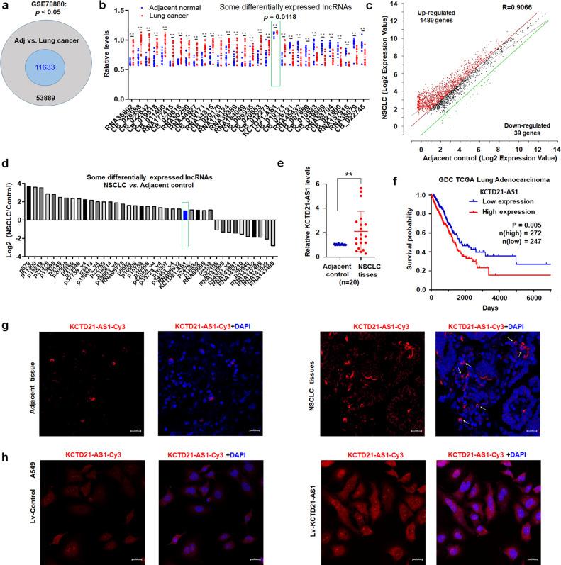 https://cdn.ncbi.nlm.nih.gov/pmc/blobs/6c8a/10881998/25d22e919f51/42003_2024_5854_Fig1_HTML.jpg