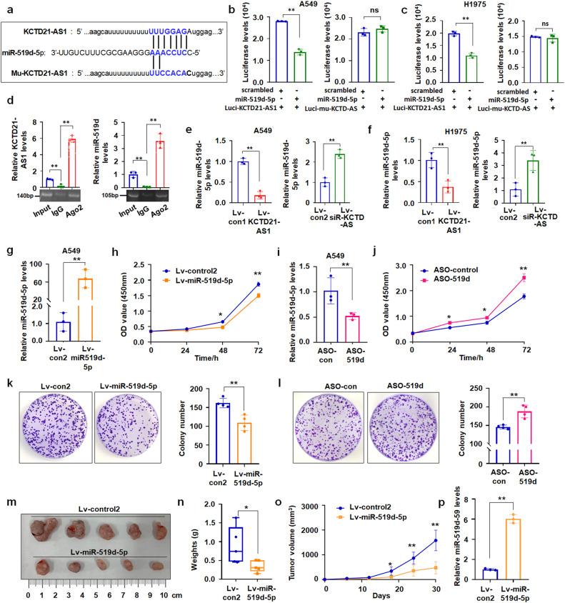 https://cdn.ncbi.nlm.nih.gov/pmc/blobs/6c8a/10881998/3575fc42f02a/42003_2024_5854_Fig4_HTML.jpg