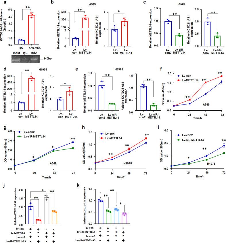 https://cdn.ncbi.nlm.nih.gov/pmc/blobs/6c8a/10881998/3955cebbf178/42003_2024_5854_Fig3_HTML.jpg