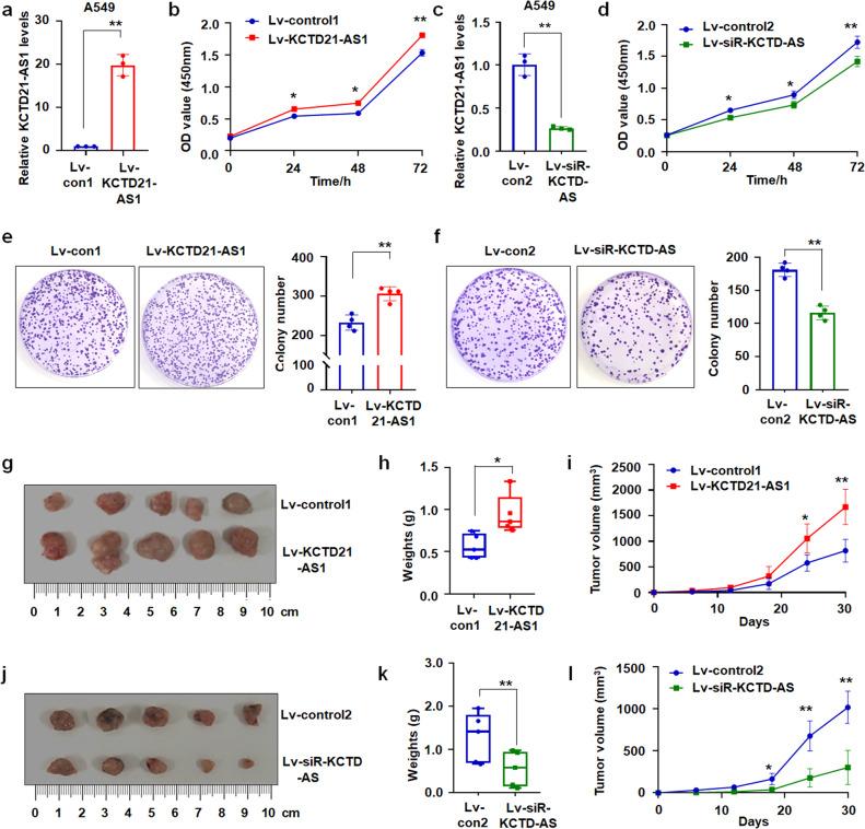 https://cdn.ncbi.nlm.nih.gov/pmc/blobs/6c8a/10881998/94c760e122e5/42003_2024_5854_Fig2_HTML.jpg