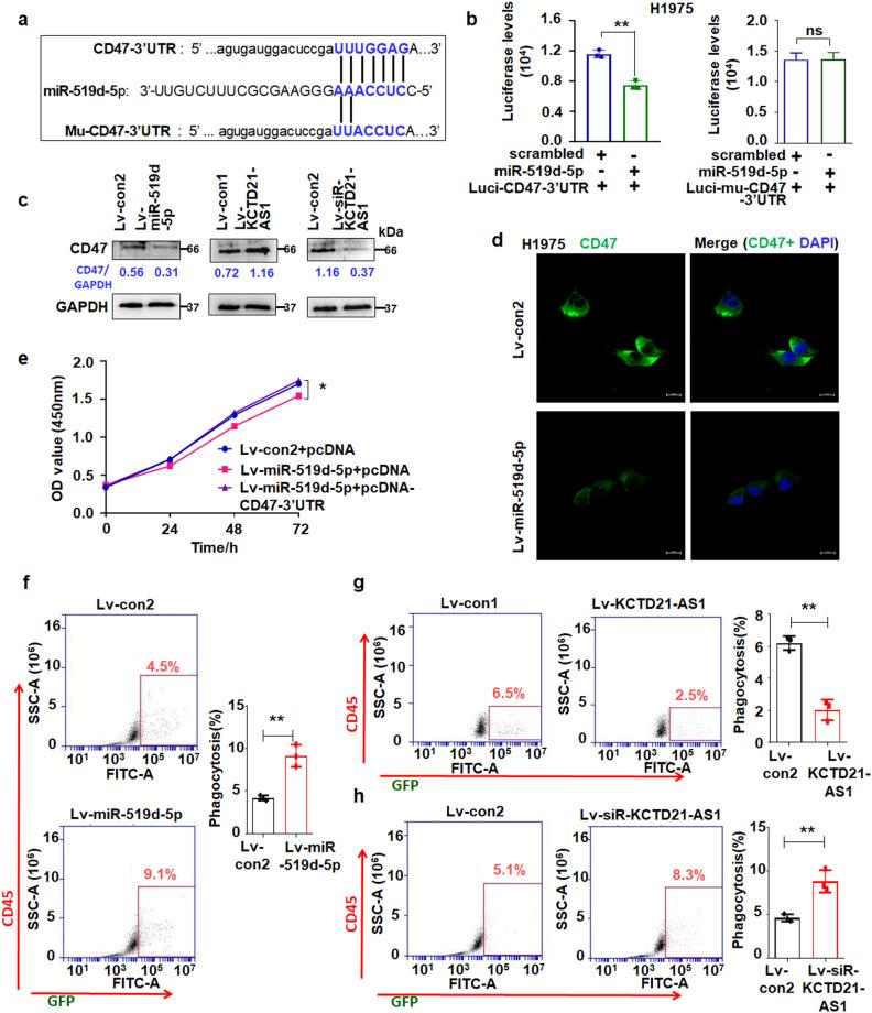 https://cdn.ncbi.nlm.nih.gov/pmc/blobs/6c8a/10881998/dfdb883bf639/42003_2024_5854_Fig7_HTML.jpg