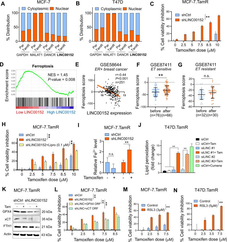 https://cdn.ncbi.nlm.nih.gov/pmc/blobs/6c8a/11180193/11cef3505a72/41419_2024_6814_Fig2_HTML.jpg