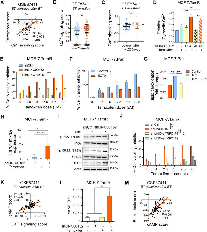 https://cdn.ncbi.nlm.nih.gov/pmc/blobs/6c8a/11180193/1e39ed74c69b/41419_2024_6814_Fig3_HTML.jpg