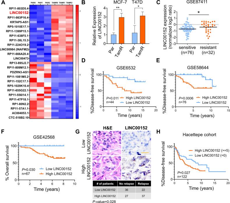 https://cdn.ncbi.nlm.nih.gov/pmc/blobs/6c8a/11180193/b4faae1bf788/41419_2024_6814_Fig1_HTML.jpg