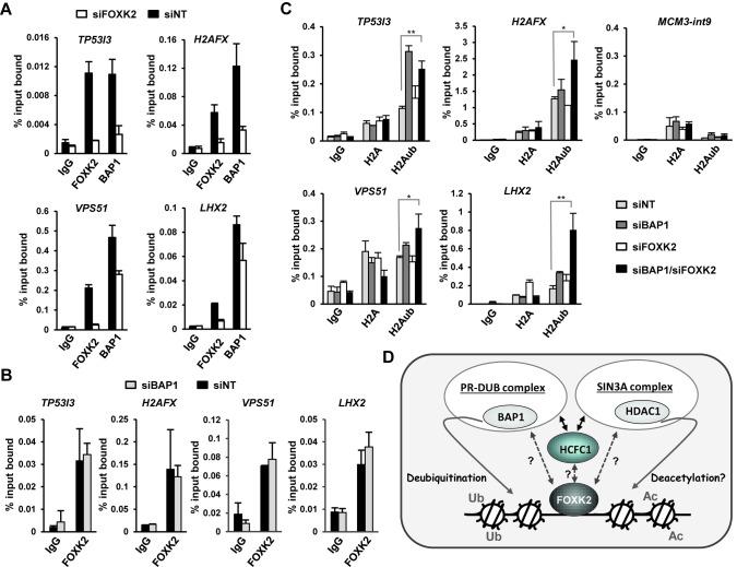 https://cdn.ncbi.nlm.nih.gov/pmc/blobs/6c8a/4041447/f3f6ec13bad2/gku274fig6.jpg