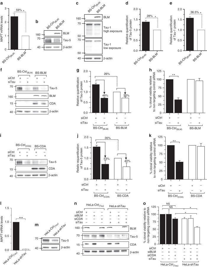 https://cdn.ncbi.nlm.nih.gov/pmc/blobs/6c8a/5612969/826039fc50ae/41467_2017_633_Fig2_HTML.jpg