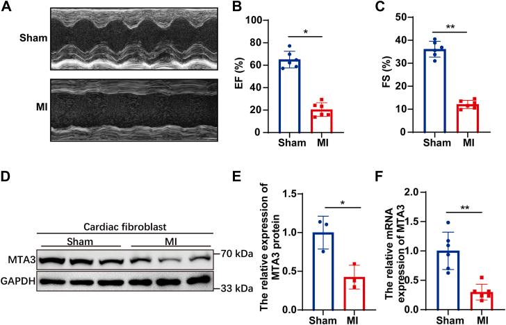 https://cdn.ncbi.nlm.nih.gov/pmc/blobs/6c8c/12319557/e5a88d9cd43d/gr1.jpg
