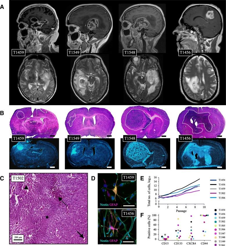 https://cdn.ncbi.nlm.nih.gov/pmc/blobs/6c8d/6593575/ab5fde916b8b/12885_2019_5861_Fig1_HTML.jpg