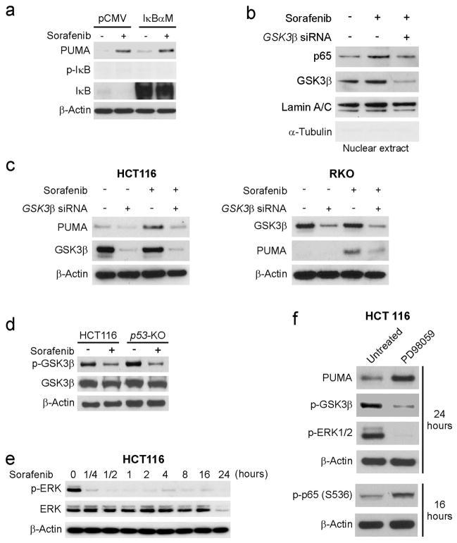 https://cdn.ncbi.nlm.nih.gov/pmc/blobs/6c91/3342476/8c3f467146d3/nihms345064f4.jpg