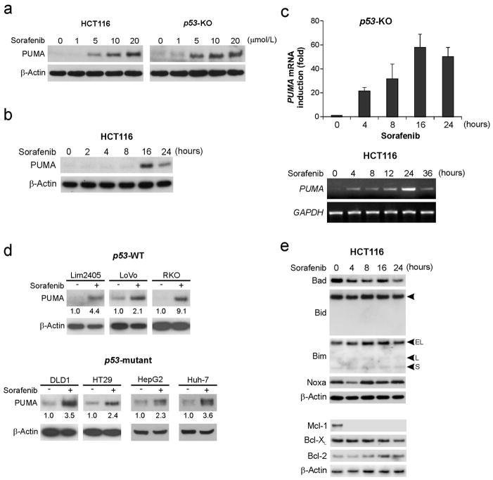 https://cdn.ncbi.nlm.nih.gov/pmc/blobs/6c91/3342476/c16fa1ca8a01/nihms345064f1.jpg