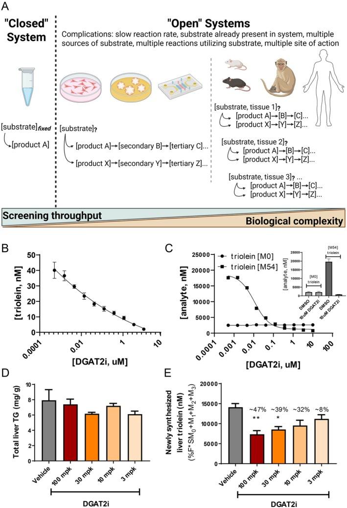 https://cdn.ncbi.nlm.nih.gov/pmc/blobs/6c92/12031654/085ce76e01b9/PRP2-13-e70099-g003.jpg