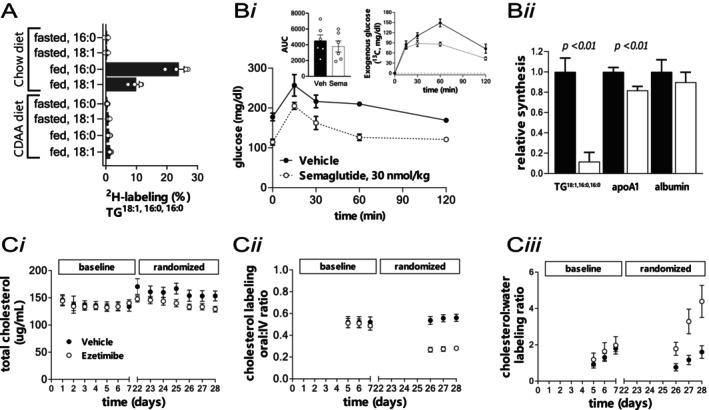 https://cdn.ncbi.nlm.nih.gov/pmc/blobs/6c92/12031654/975194bf58f3/PRP2-13-e70099-g004.jpg