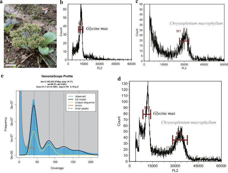 https://cdn.ncbi.nlm.nih.gov/pmc/blobs/6c92/12263994/5db15961daf8/41597_2025_5546_Fig1_HTML.jpg