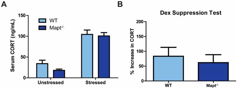 https://cdn.ncbi.nlm.nih.gov/pmc/blobs/6c93/7016791/3aeb73645f85/cells-09-00210-g004.jpg