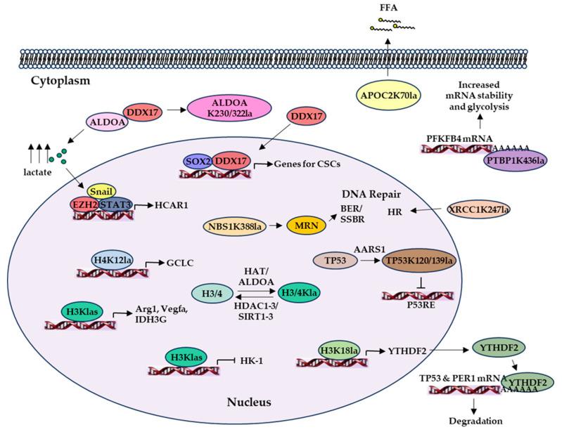 https://cdn.ncbi.nlm.nih.gov/pmc/blobs/6c94/12029365/5d22c1578330/molecules-30-01763-g005.jpg