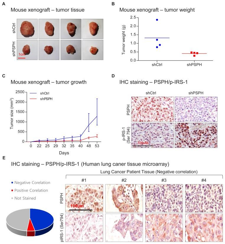 https://cdn.ncbi.nlm.nih.gov/pmc/blobs/6c95/6715339/65fcfc4e89f4/molce-42-604f5.jpg