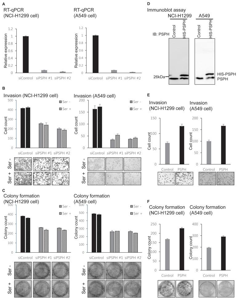 https://cdn.ncbi.nlm.nih.gov/pmc/blobs/6c95/6715339/bed6e70a3a7b/molce-42-604f2.jpg