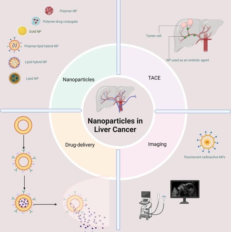 https://cdn.ncbi.nlm.nih.gov/pmc/blobs/6c96/12333624/b7c7b7ea7908/IJN-20-9621-g0001.jpg