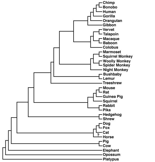 https://cdn.ncbi.nlm.nih.gov/pmc/blobs/6c96/2830953/643ae3a07446/1471-2148-10-39-1.jpg