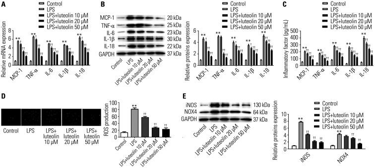 https://cdn.ncbi.nlm.nih.gov/pmc/blobs/6c96/8860941/42563e5e0d94/ymj-63-220-g005.jpg