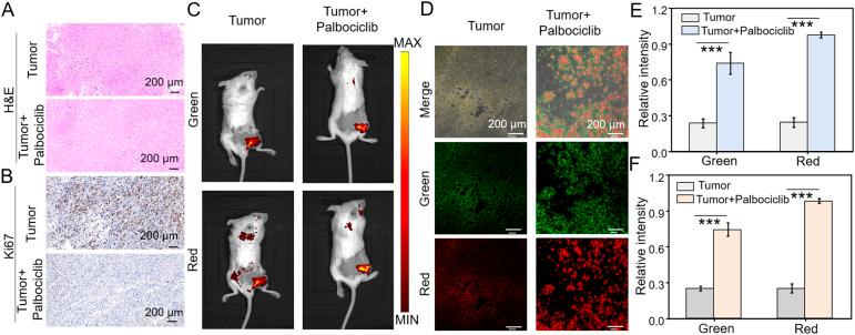 https://cdn.ncbi.nlm.nih.gov/pmc/blobs/6c9a/11981065/ac837c2c4585/d5sc00103j-f5.jpg
