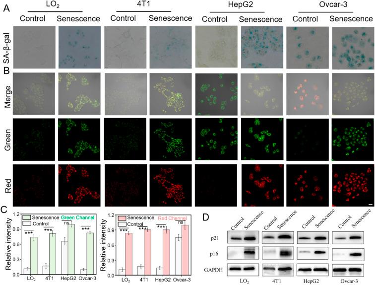https://cdn.ncbi.nlm.nih.gov/pmc/blobs/6c9a/11981065/b6839a3a7134/d5sc00103j-f4.jpg
