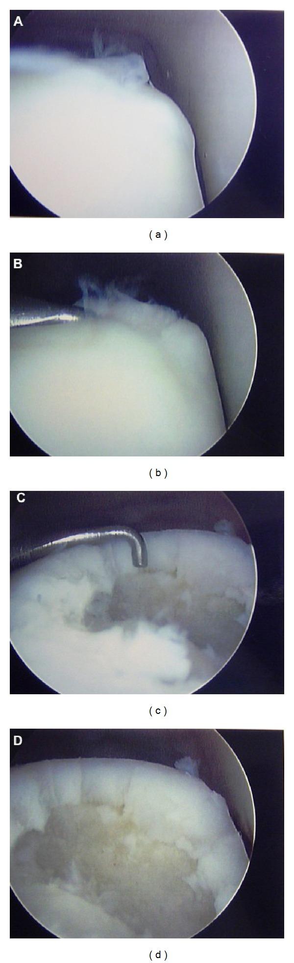 https://cdn.ncbi.nlm.nih.gov/pmc/blobs/6c9a/3830799/183421e1f77b/ARI2013-182650.009.jpg