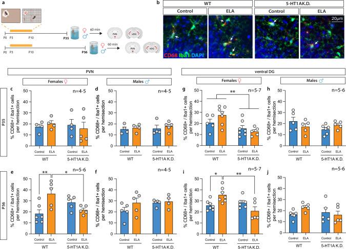 https://cdn.ncbi.nlm.nih.gov/pmc/blobs/6c9f/11736140/e8c2cfd11dd3/41386_2024_1999_Fig5_HTML.jpg