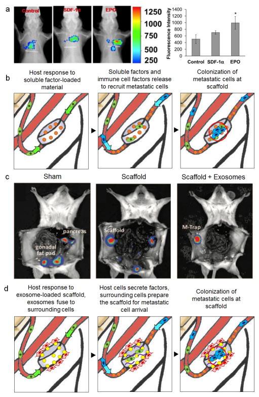 https://cdn.ncbi.nlm.nih.gov/pmc/blobs/6ca0/5628747/172a91d2b68a/nihms864888f3.jpg