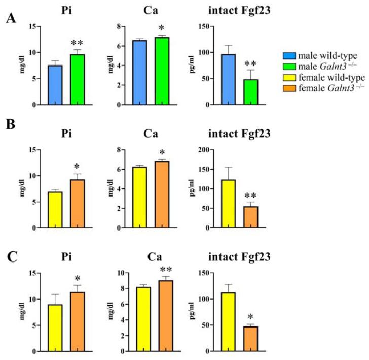 https://cdn.ncbi.nlm.nih.gov/pmc/blobs/6ca2/10889289/26da661c7016/ijms-25-02275-g009.jpg