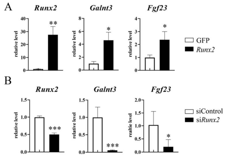 https://cdn.ncbi.nlm.nih.gov/pmc/blobs/6ca2/10889289/4d5b75f8fb96/ijms-25-02275-g002.jpg