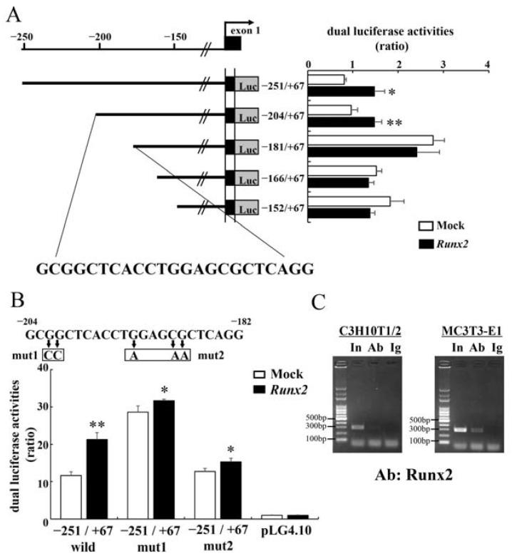 https://cdn.ncbi.nlm.nih.gov/pmc/blobs/6ca2/10889289/57b5663b5847/ijms-25-02275-g004.jpg