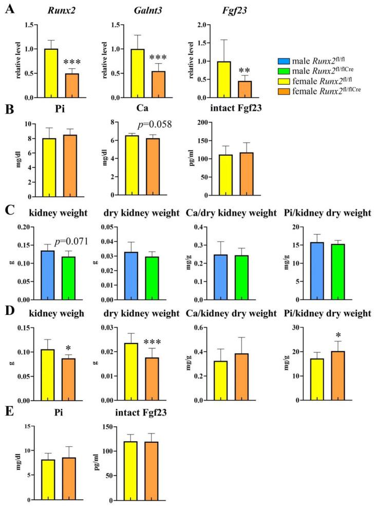 https://cdn.ncbi.nlm.nih.gov/pmc/blobs/6ca2/10889289/9e53b4dc52c7/ijms-25-02275-g005.jpg