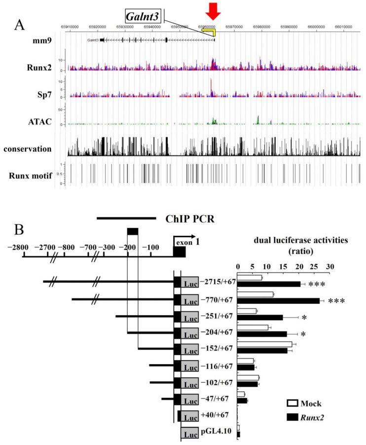 https://cdn.ncbi.nlm.nih.gov/pmc/blobs/6ca2/10889289/a7649c23389e/ijms-25-02275-g003.jpg